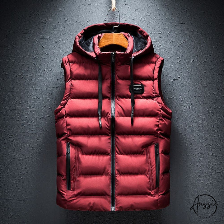 ArcticNest™ | Hooded Vest for Men